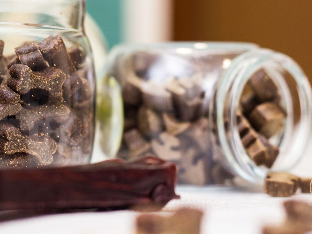 Making the Most out of Your Dog Treats