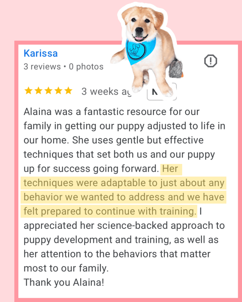 5 star Google Review for Scallywags Dog Training in Grand Rapids, MI: "Her techniques were adaptable to just about any behavior we wanted to address and we felt prepared to continue with training"
With a picture of a happy golden puppy.