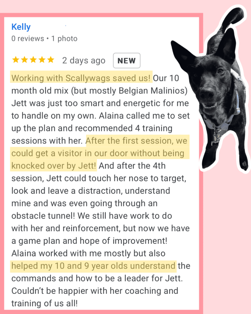 5 star Google Review for Scallywags Dog Training in Grand Rapids, MI: "Working with Scallywags saved us!"
With a picture of a cute black dog.