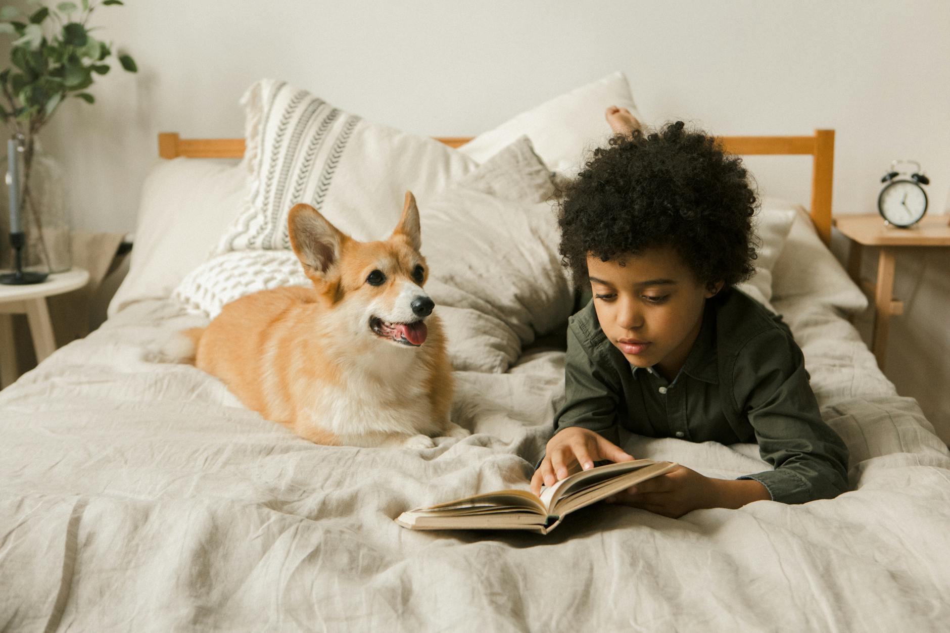 3 First Steps to a Kid-Friendly Dog