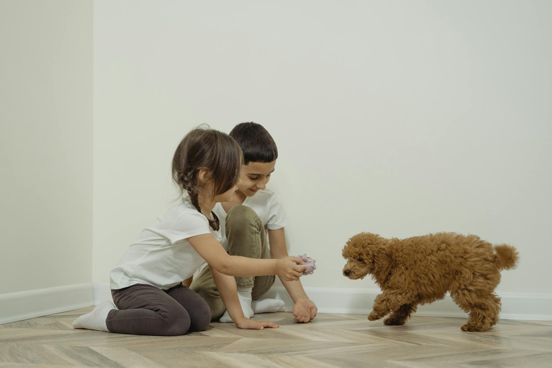 boy and girl playing with the brown dog
