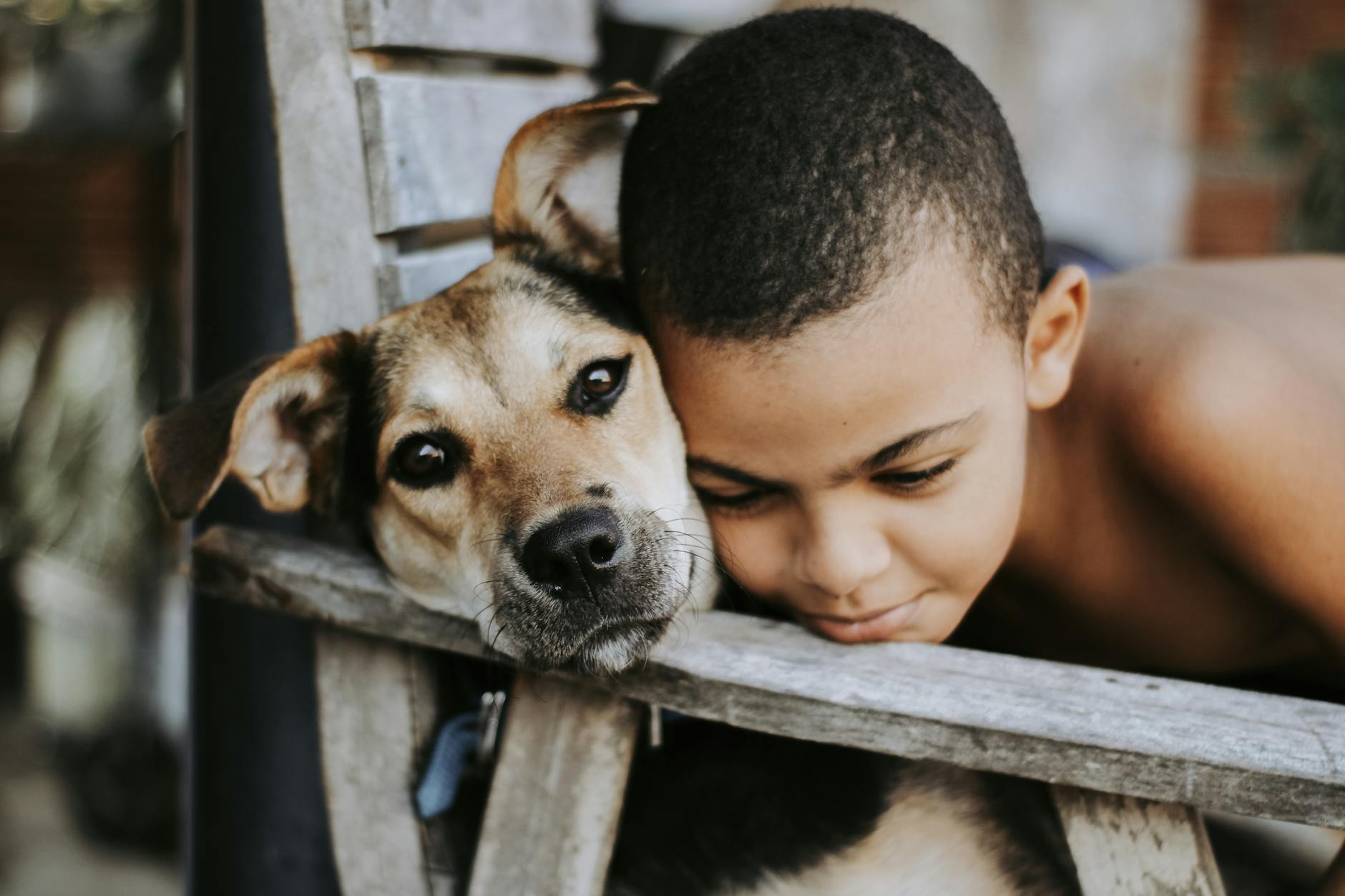 7 Steps to Help New Rescue Dog Bond with Kids