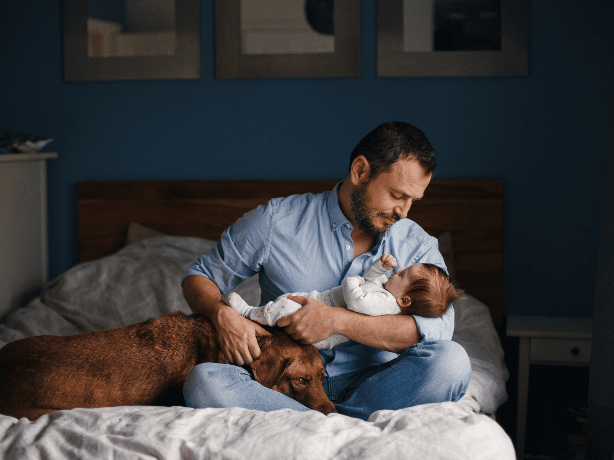 How to Help Dogs through Your New Baby’s 1st Year