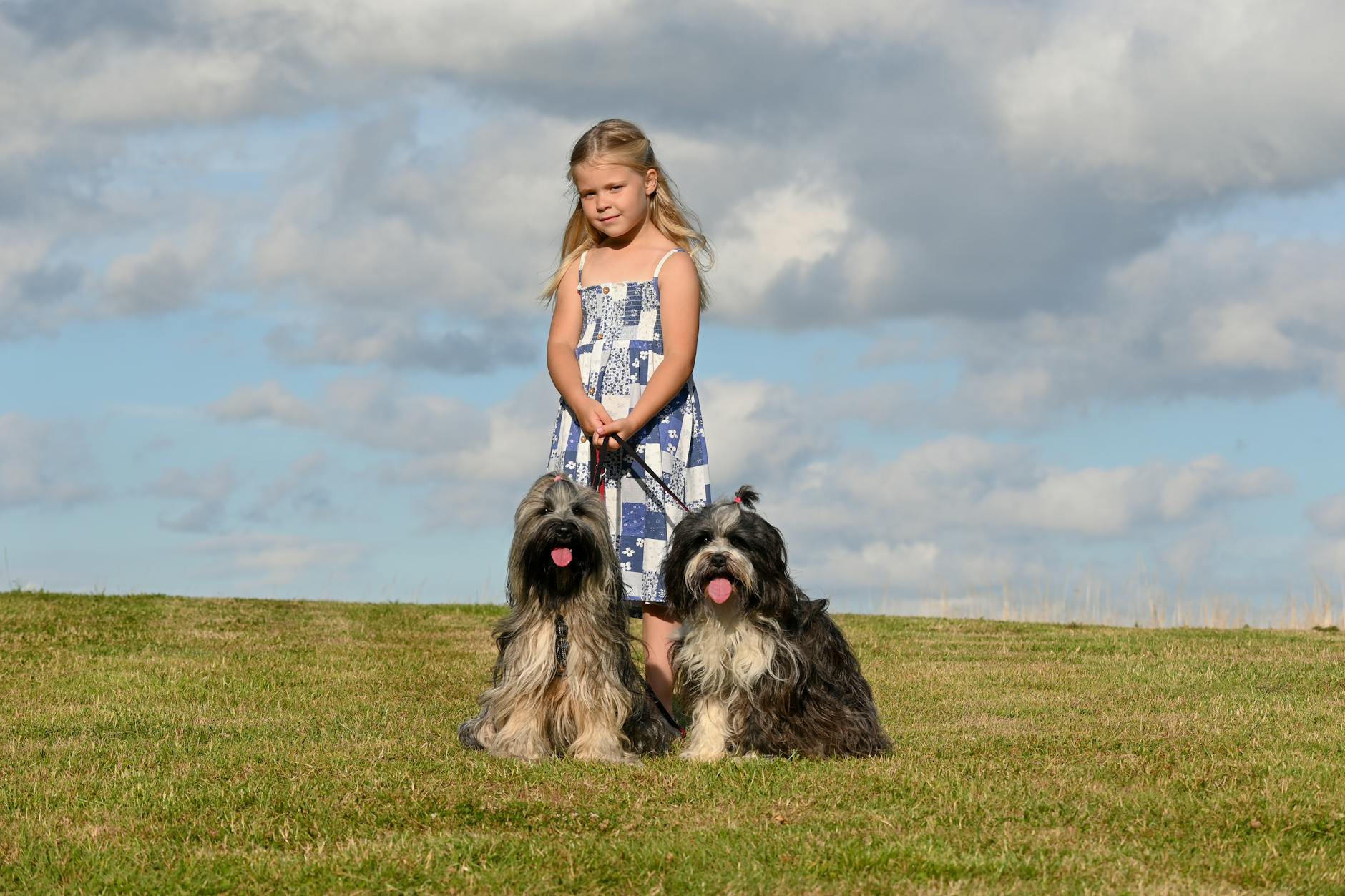 charming child with two long haired dogs outdoors