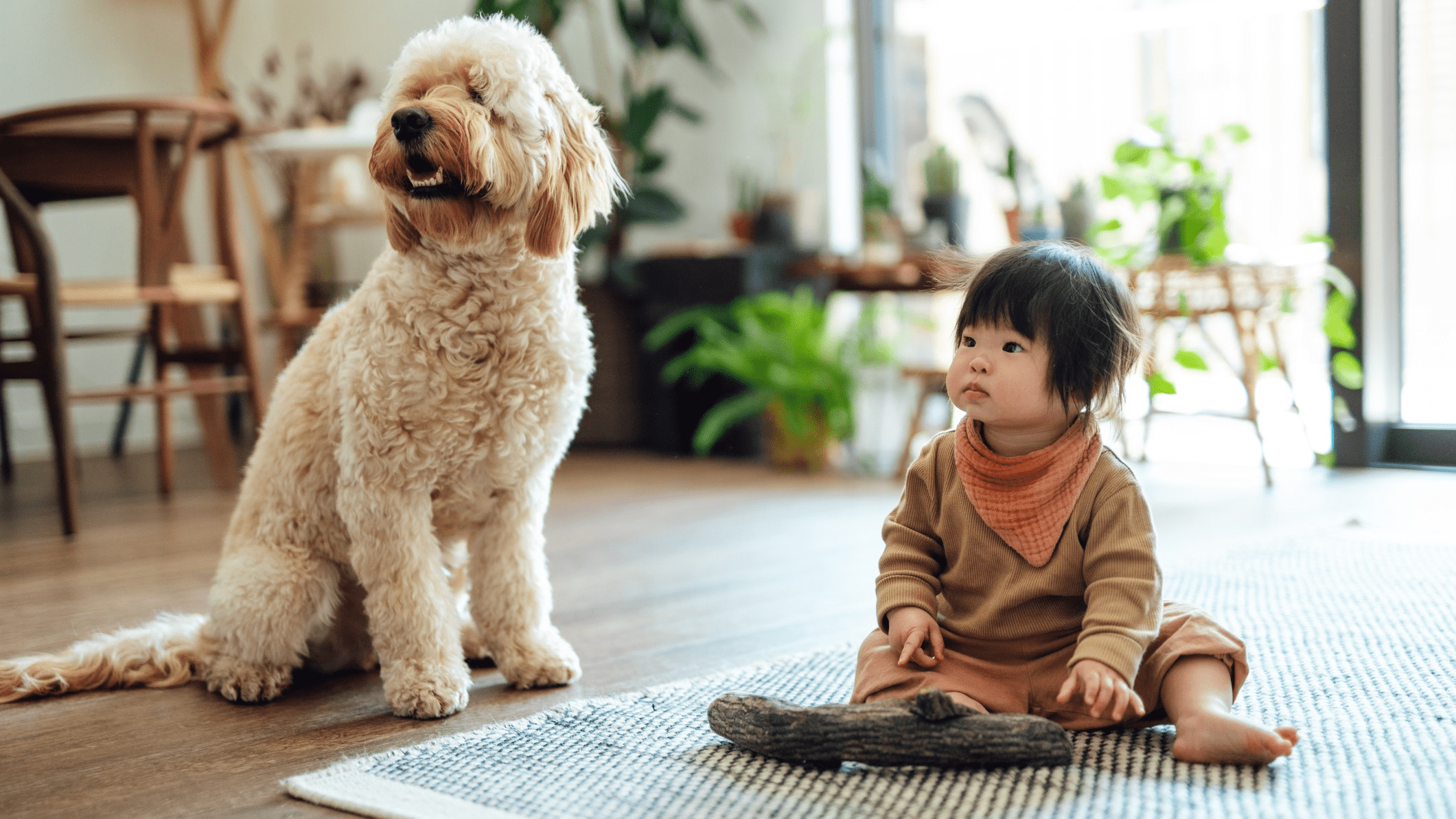 Doggy Language for Toddlers: How to Teach Dog Safety